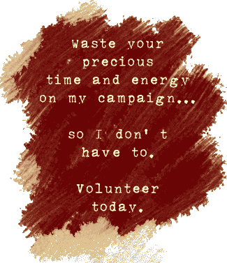 Waste your precious time and energy on my campaign...so I don't have to.  Volunteer today.
