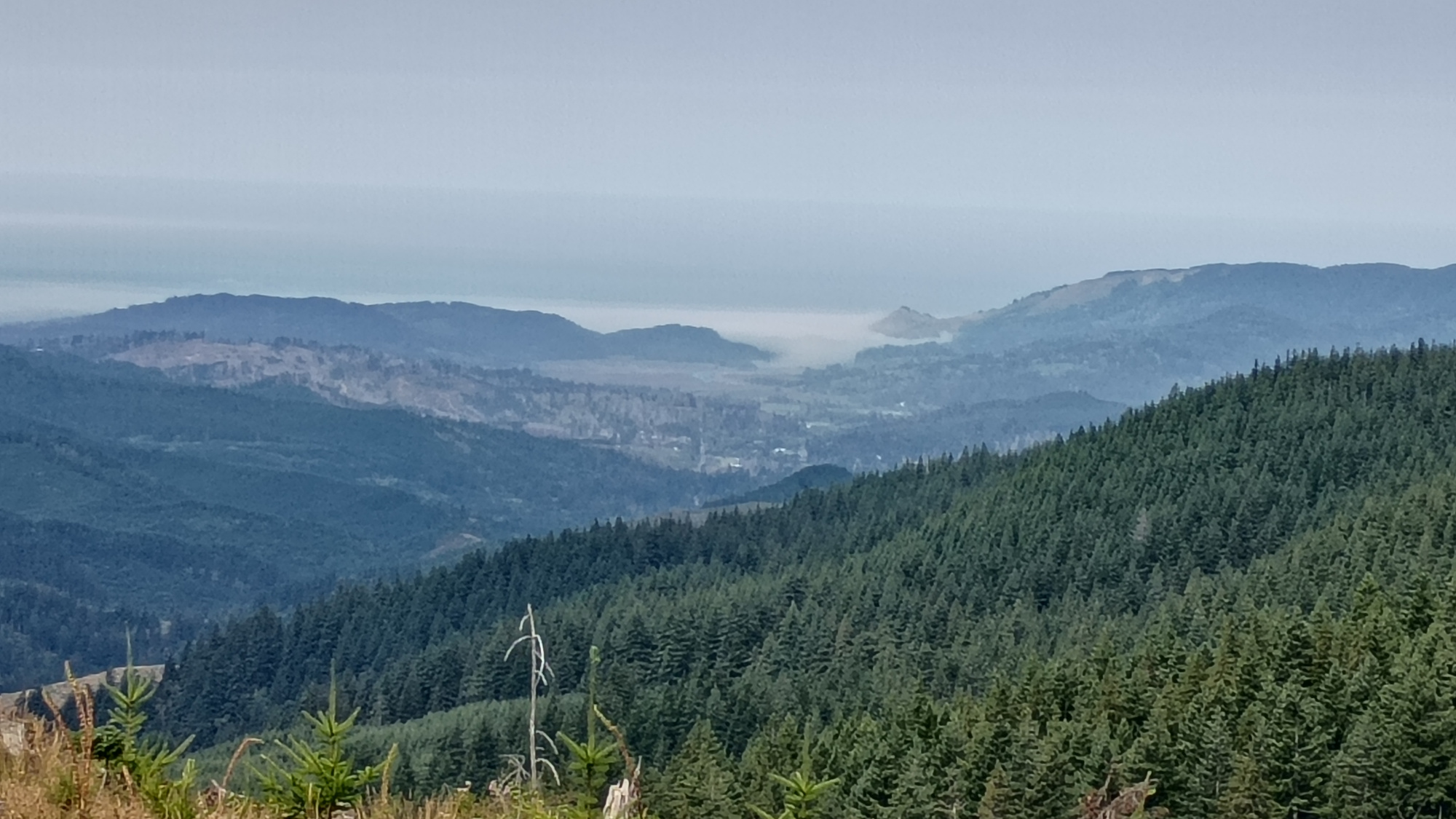 Twelve or so miles inland in the coastal range looking at a fogged in Lincoln City. Cascade Head is on the right. So is god's Thumb.