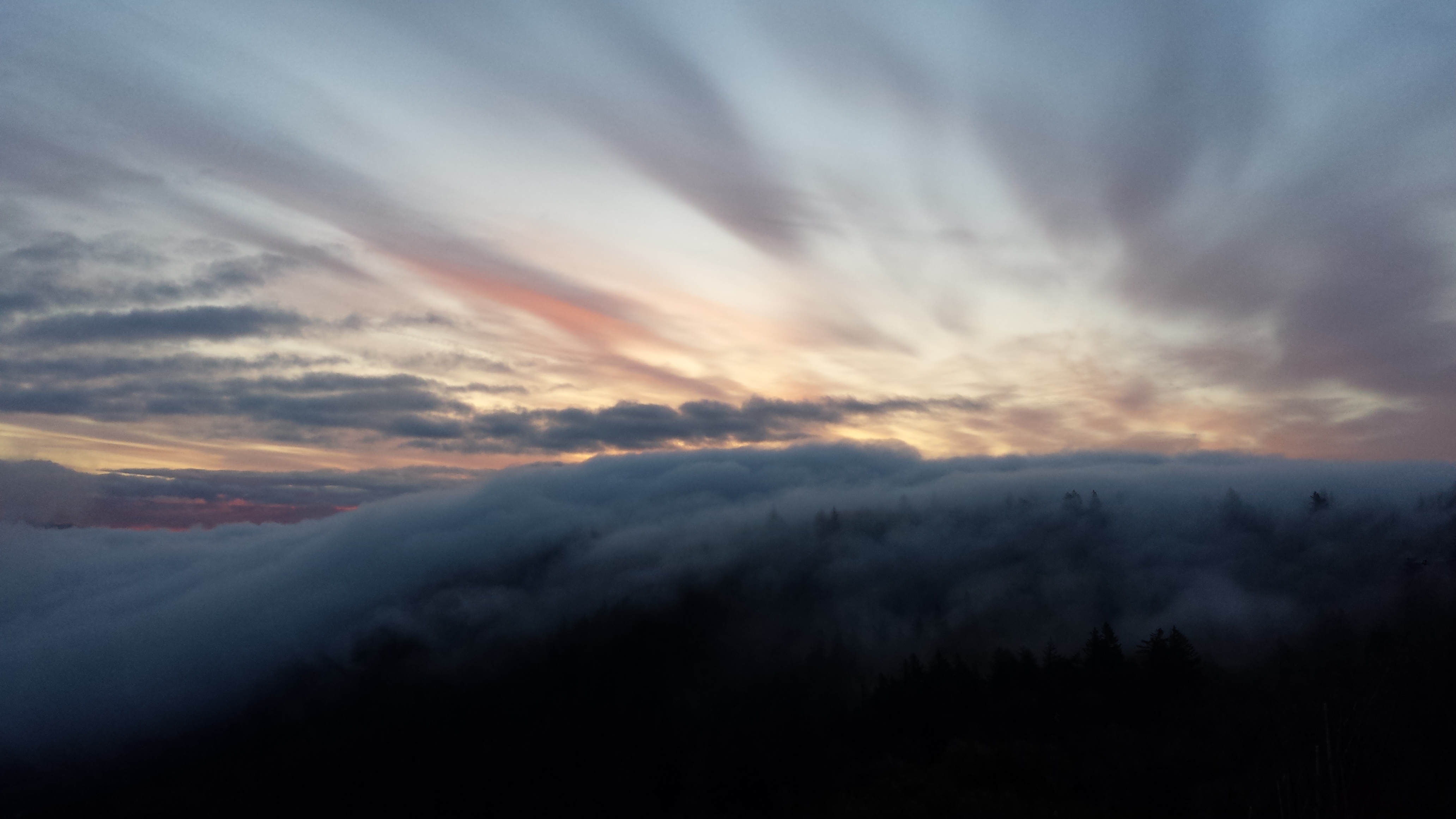 A fluffy, white blanket of clouds hug the countours of the gorge, obscuring the river below. Soft pastels - yellows and oranges - begin streaking the sky.