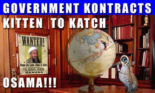 Kitten holding a magnifying glass looking at a globe. There's a Wanted Poster of Osama taped to the door. The scene takes place in an old library.