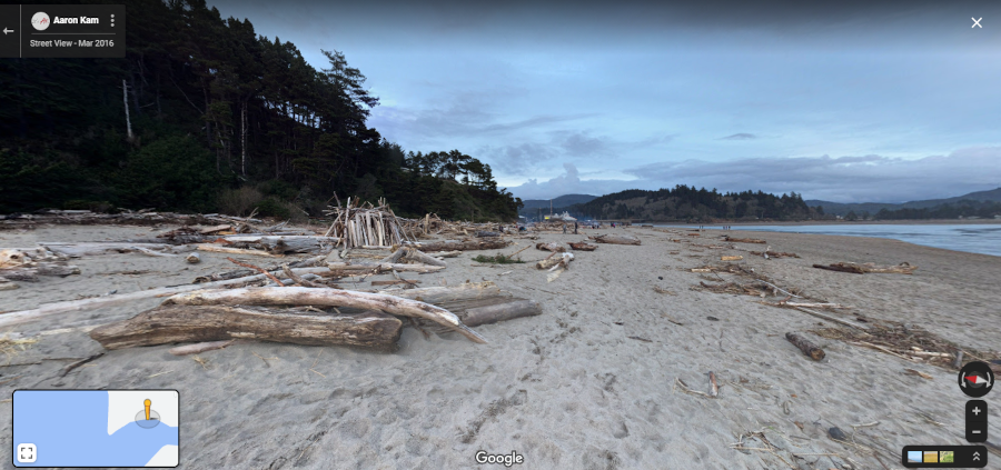 Lotta logs.