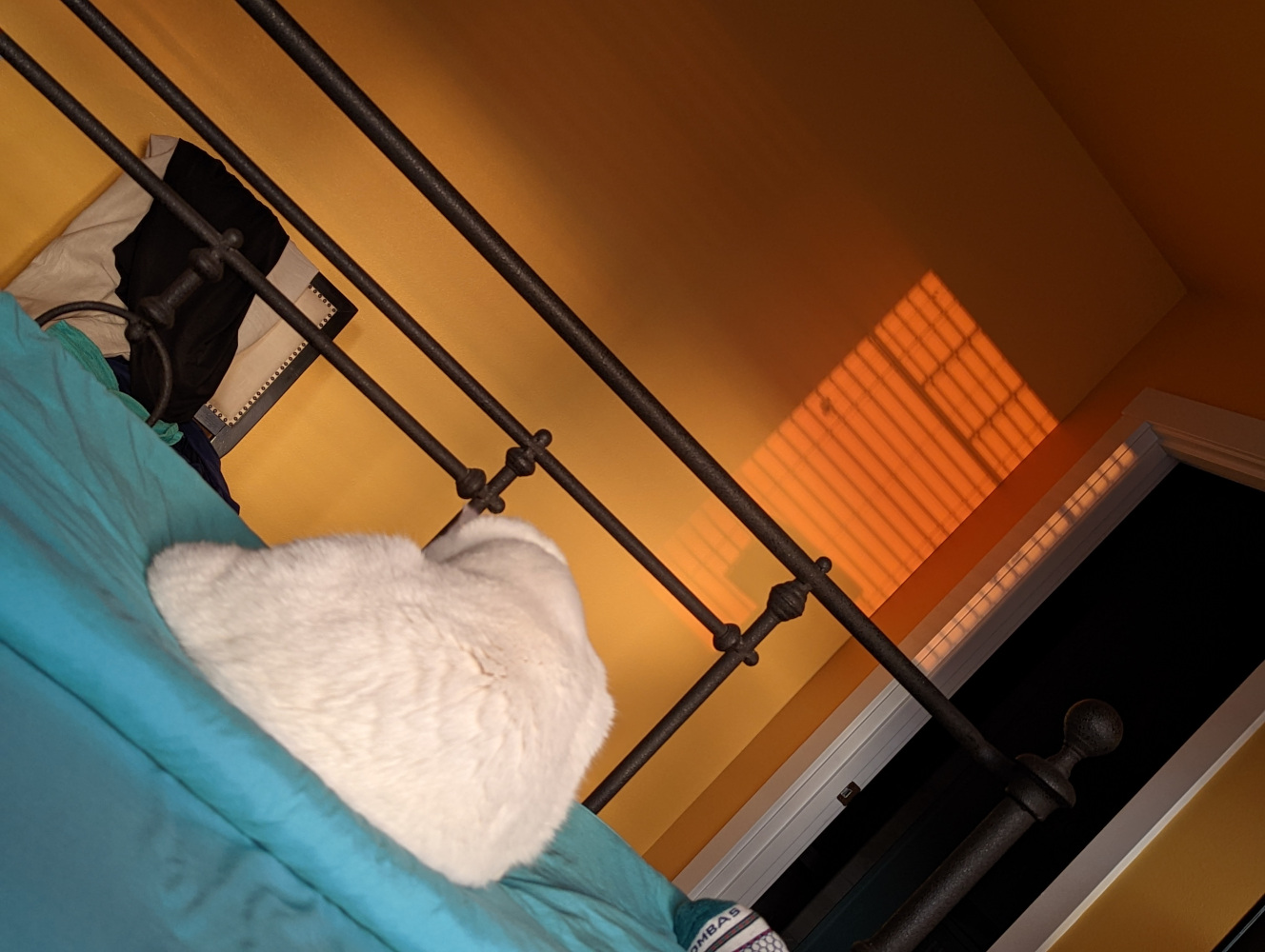 White cat lying on gren sheets by pillow in bed.