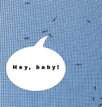 putting on the moves putting on the moves