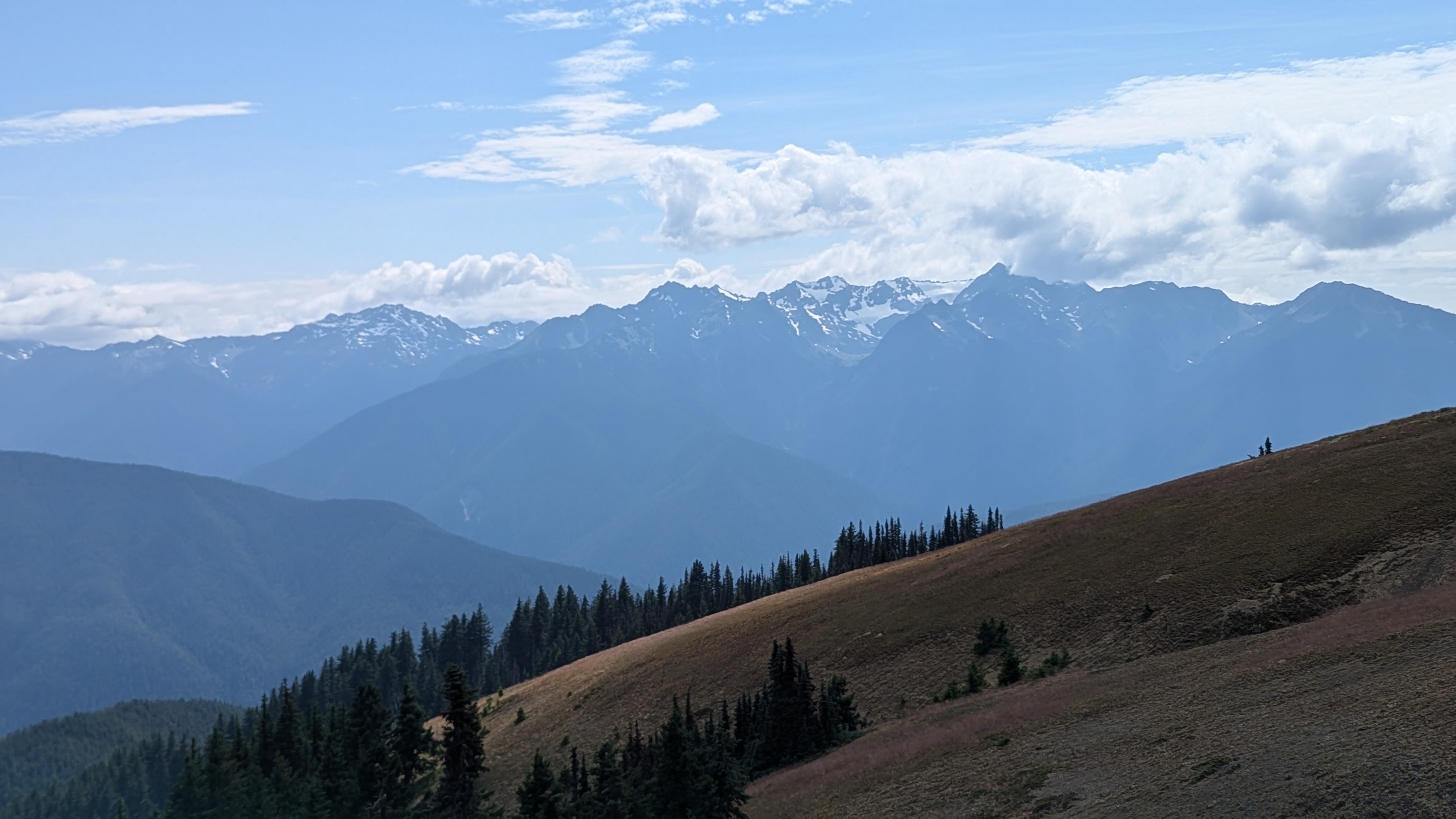 Mountains in the distance.