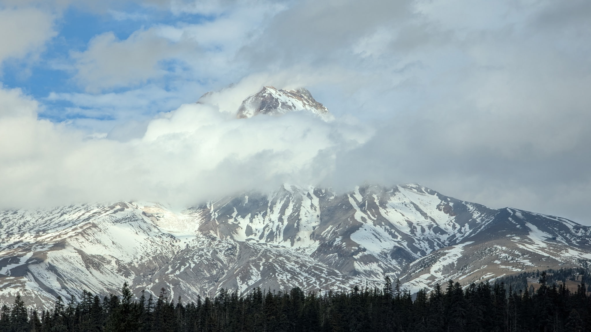 Line of pine trees at the bottom with Mt. Hood rising into the sky behind them. Clouds wrap themselves around Mt. Hood's peak. A little bue sky shows on the left and more clouds on the right.