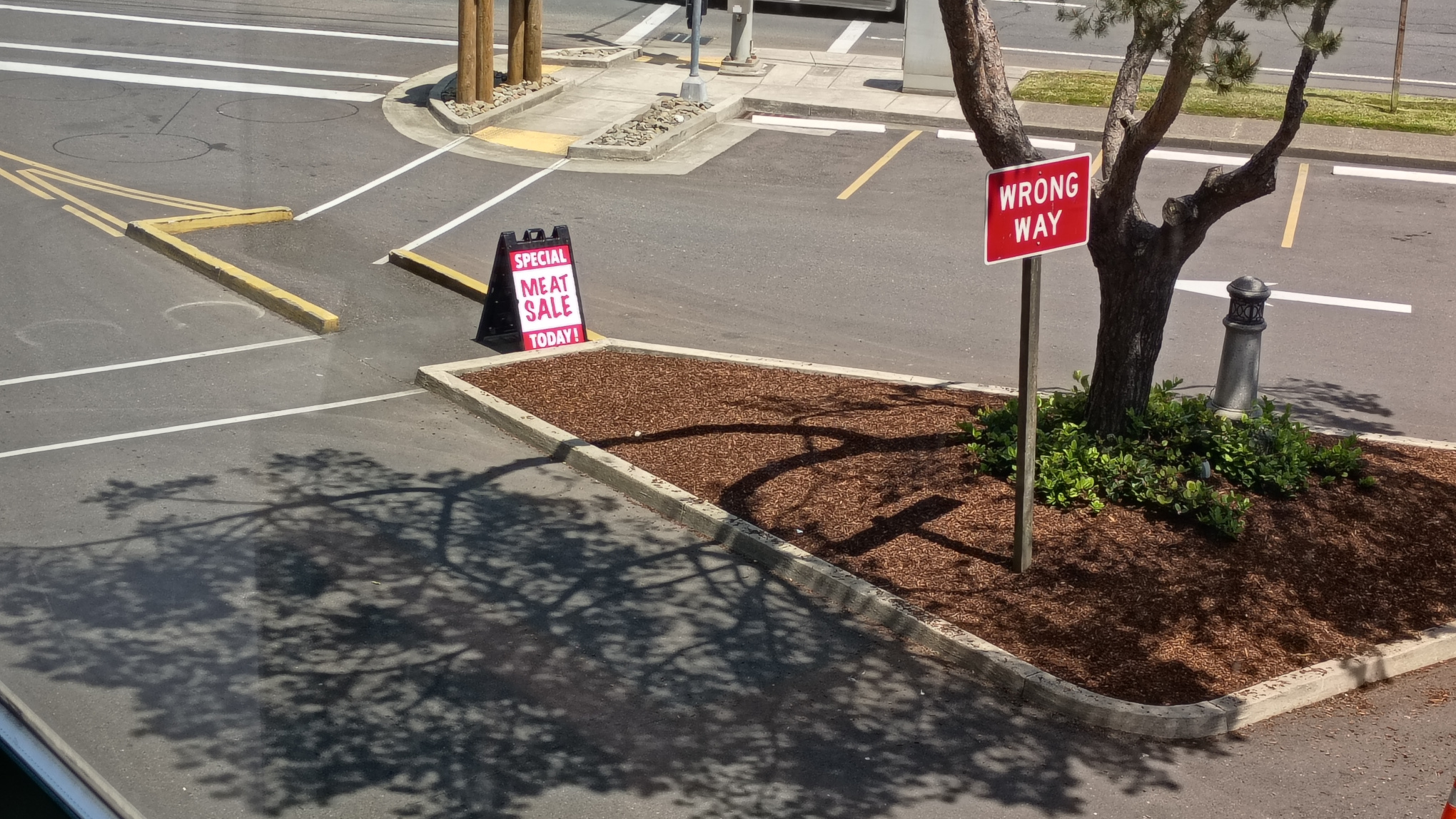 two signs in a parking lot. the first is a street sign reading wrong way. the second reads special today! meat sale.