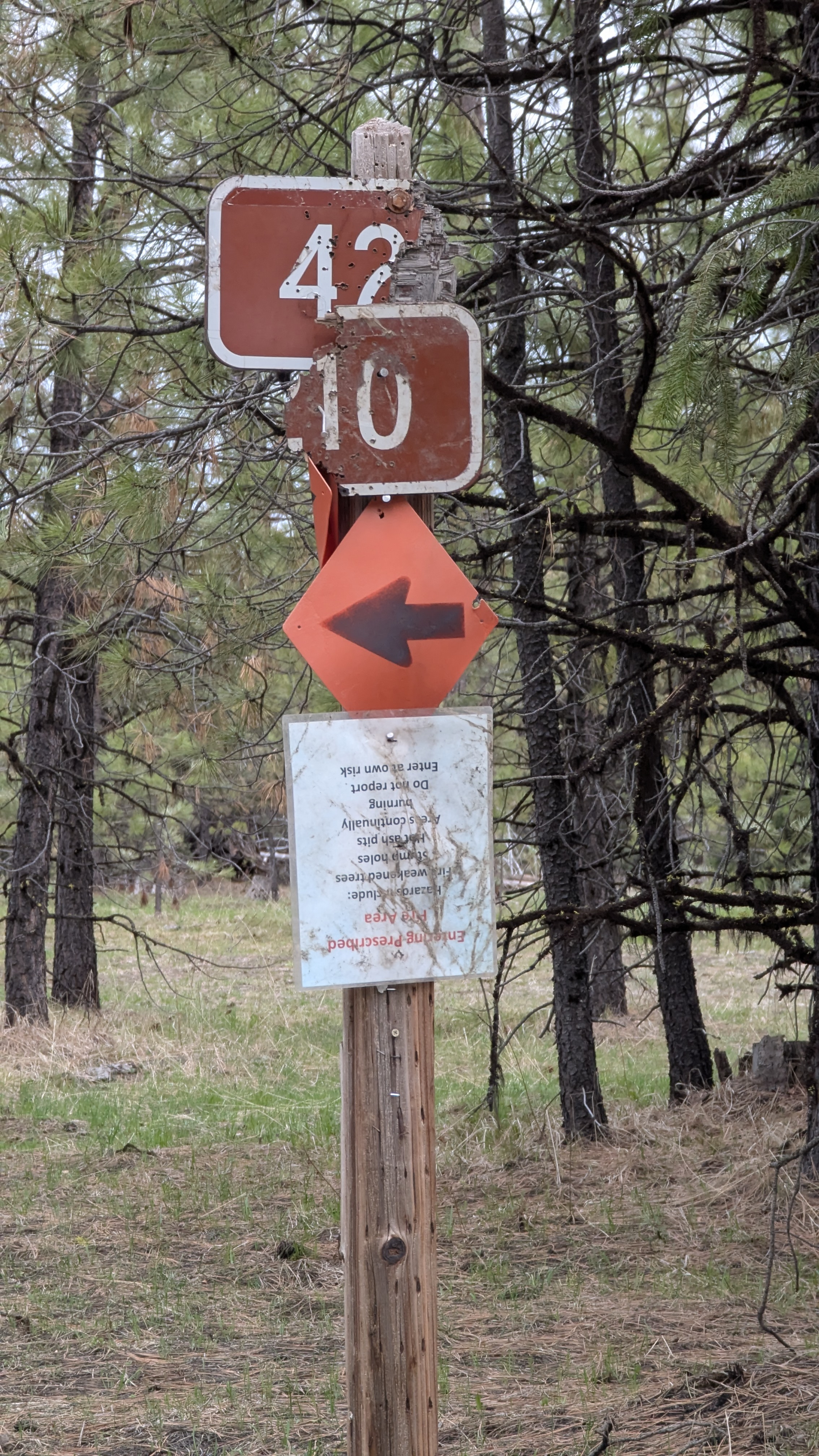 Forest road sign ripped in two, stapled on top of itself, bullet holes abound.