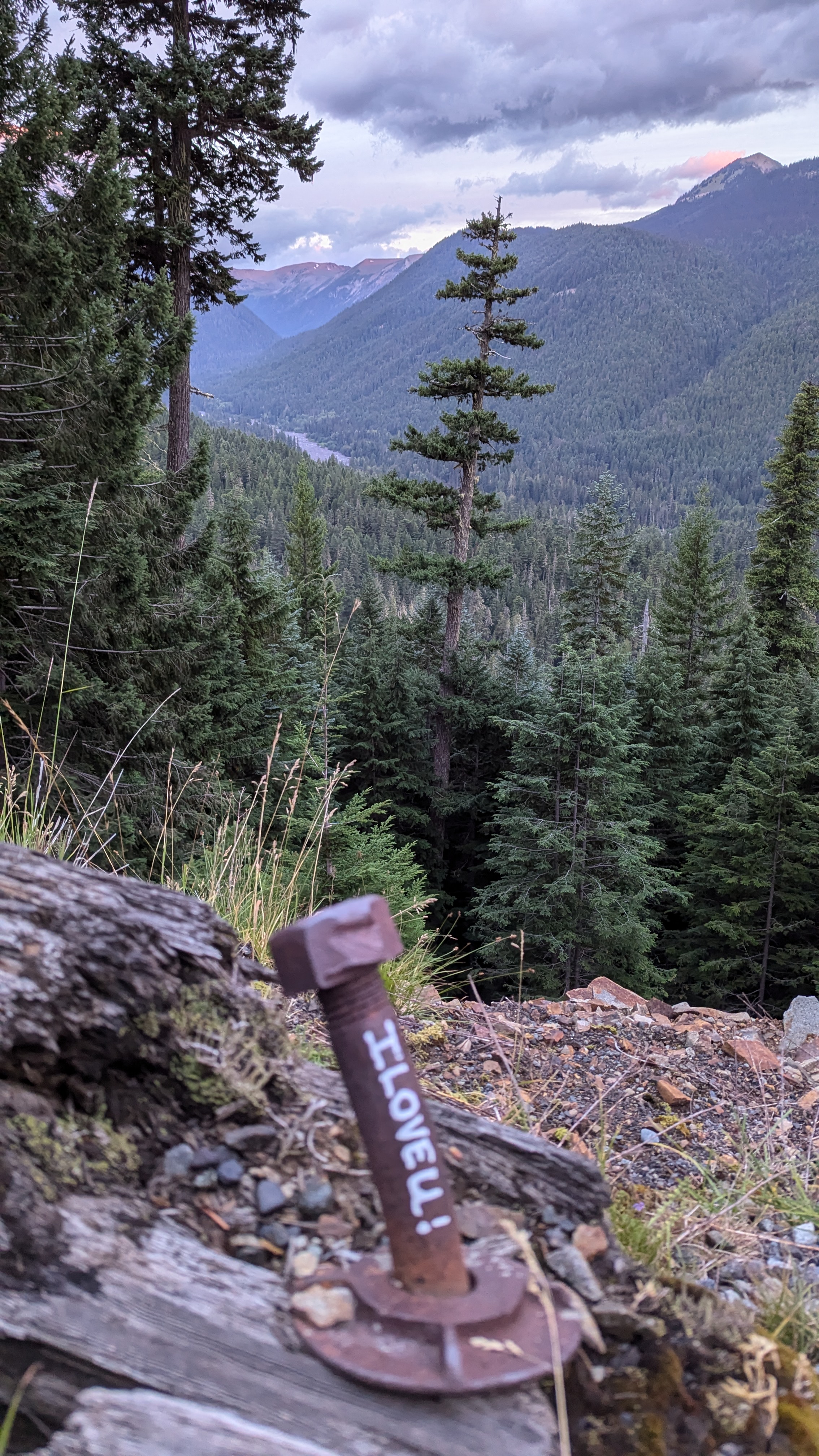 Mountain forest with dmall sign reading I Love You.