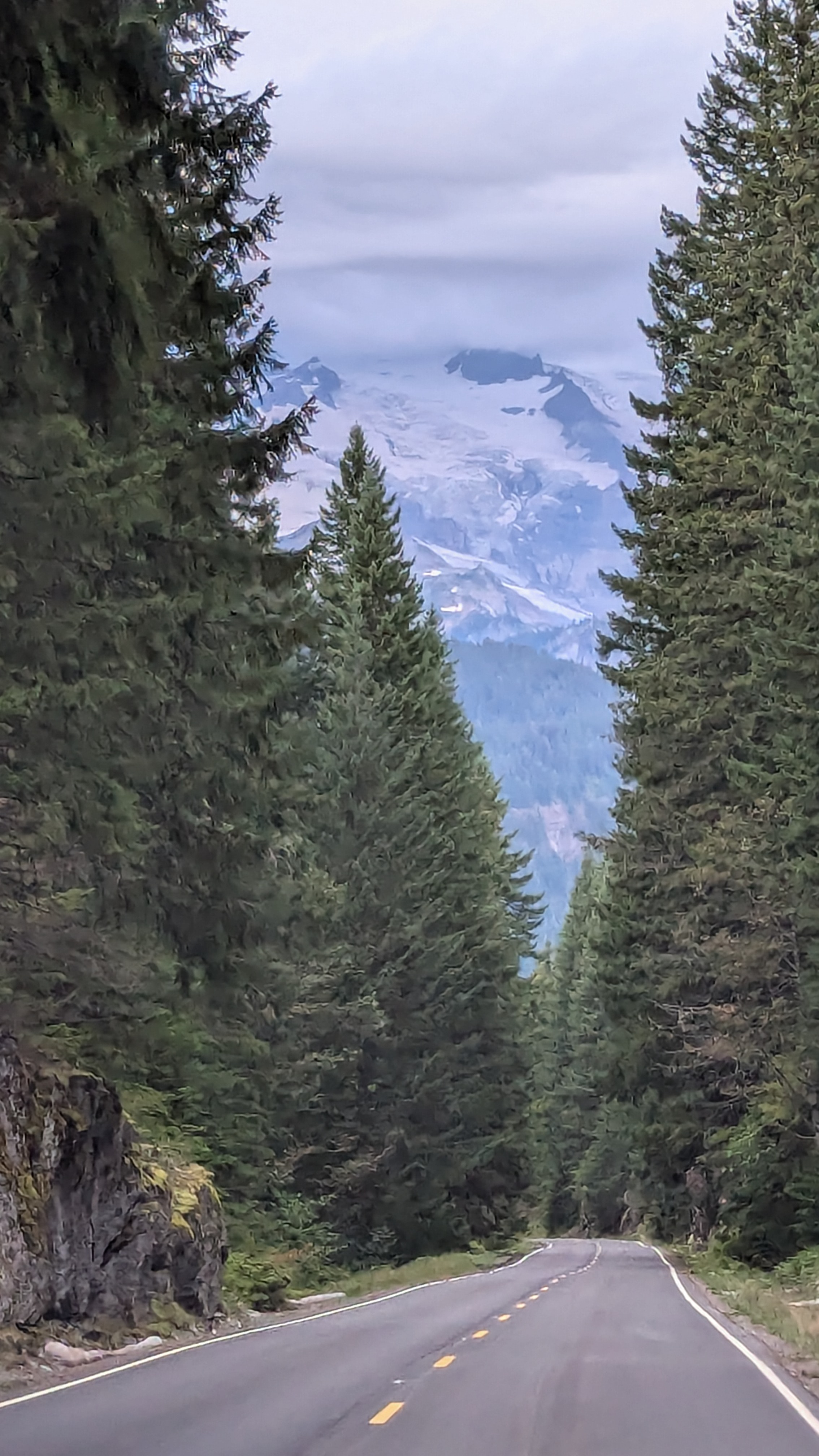 Mountain forest with small sign reading I Love You.