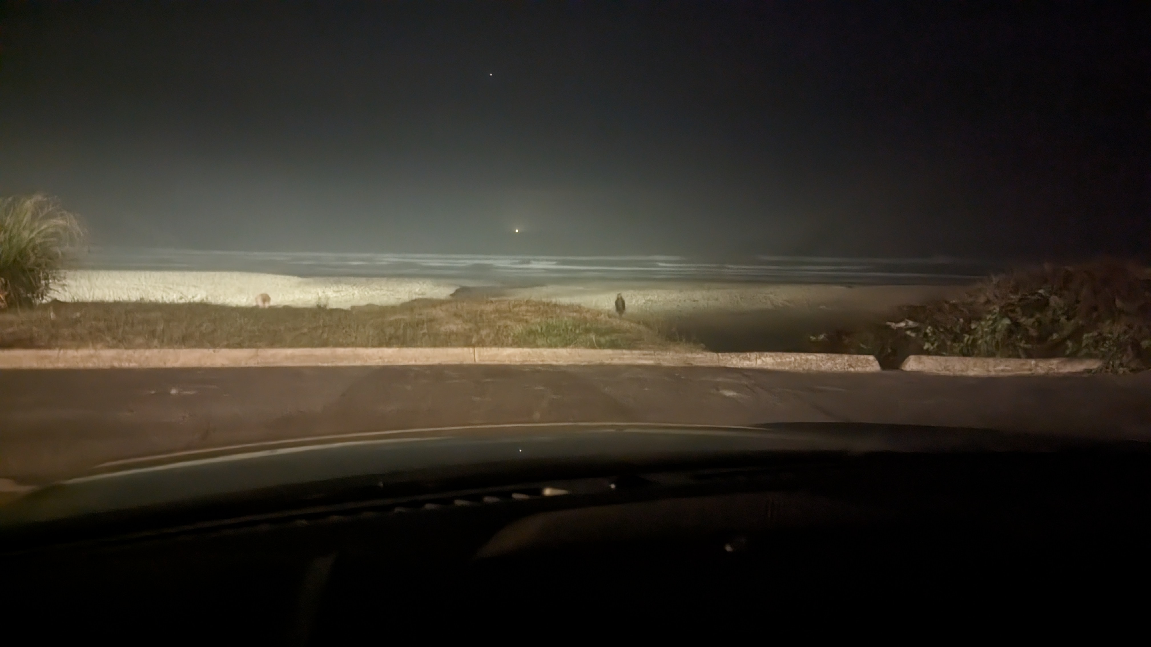 Beach at night. Foggy. Ocean waves crashing on the beach. On the ocean horizon is a light. On the beach is a blurred figure looking at you. 