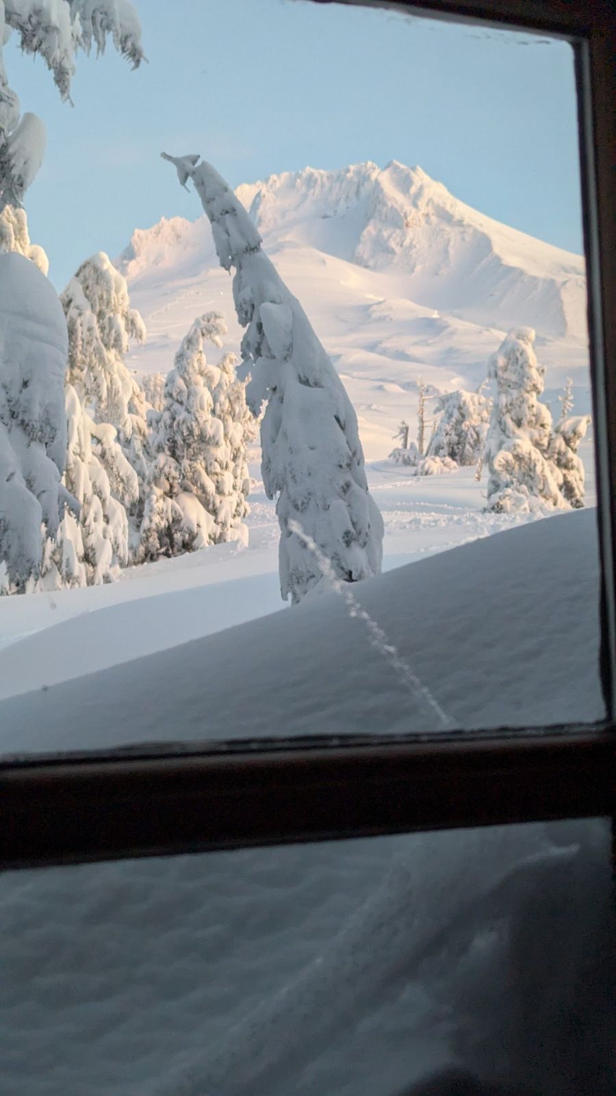 Daytime. Snowy mountain peak of Mt. Hood from our hotel room. Lots of snow. Couple conifers caked with snow, too.
