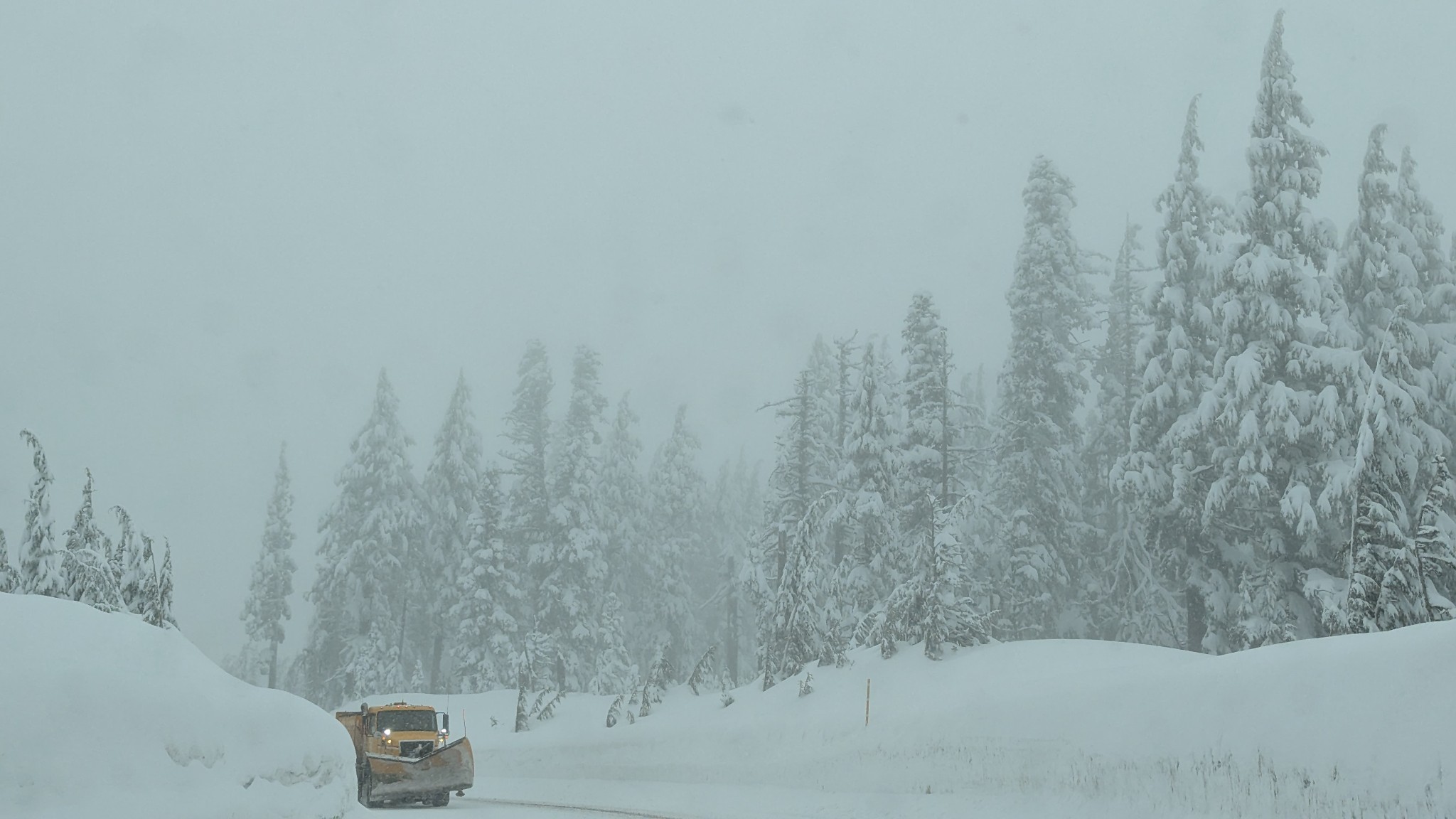 Winter alpine setting. Snowy, winding road. Fifteen foot high snow banks on the sides of the road. Snow covered conifers. Giant yellow plow heading down the mountain as we head up the mountain.