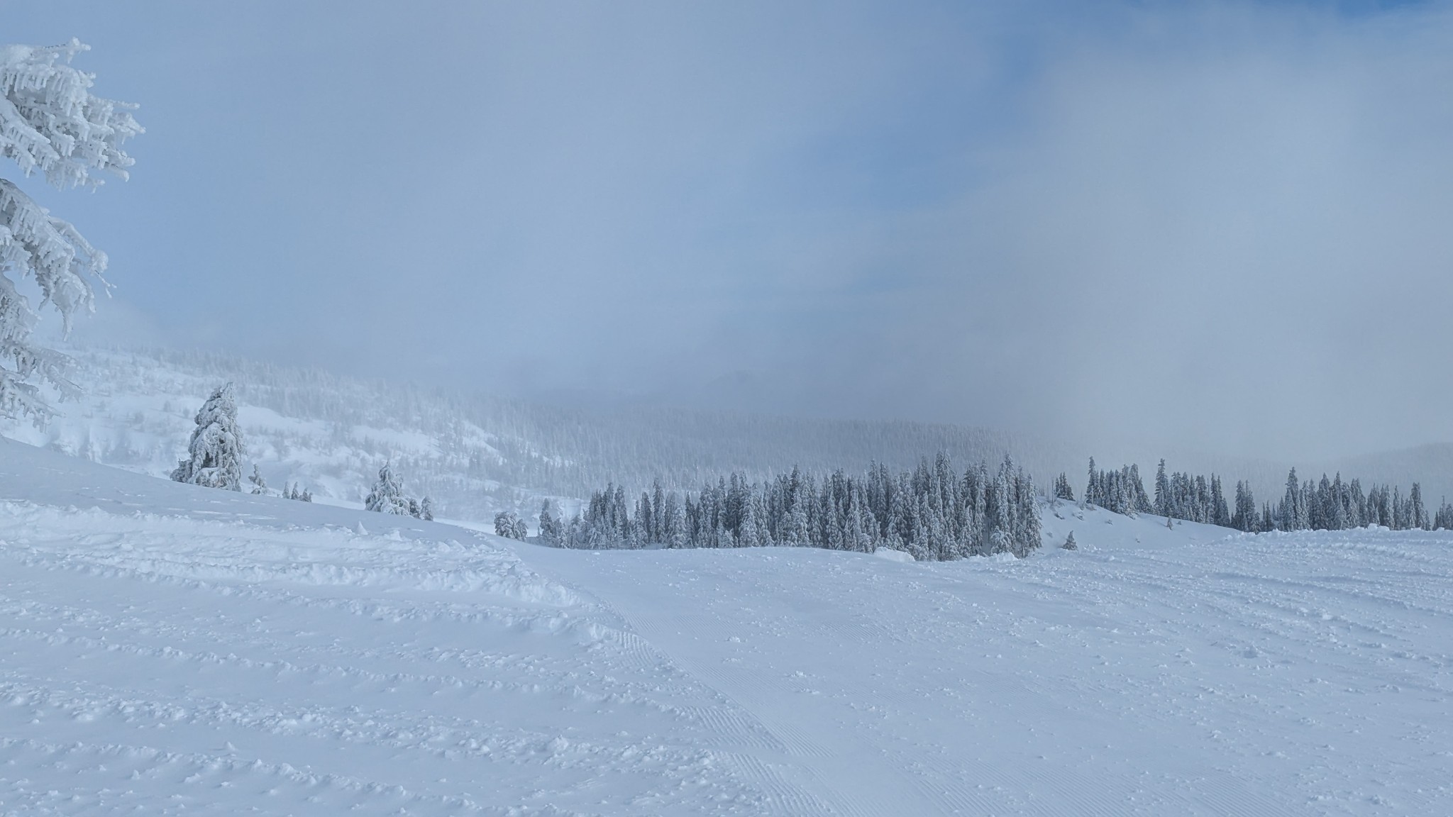 Daytime. Cloud and fog and light snow fill the background. Snow covered alpine trees fade into the mountainside.