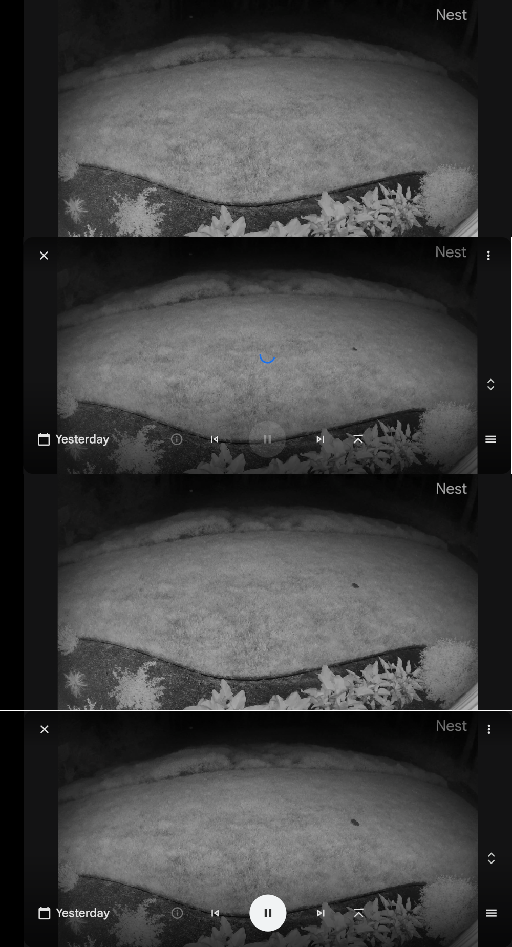 Four pics of the backyard at night, taken five monutes apart, showing a mole digging up the yard.