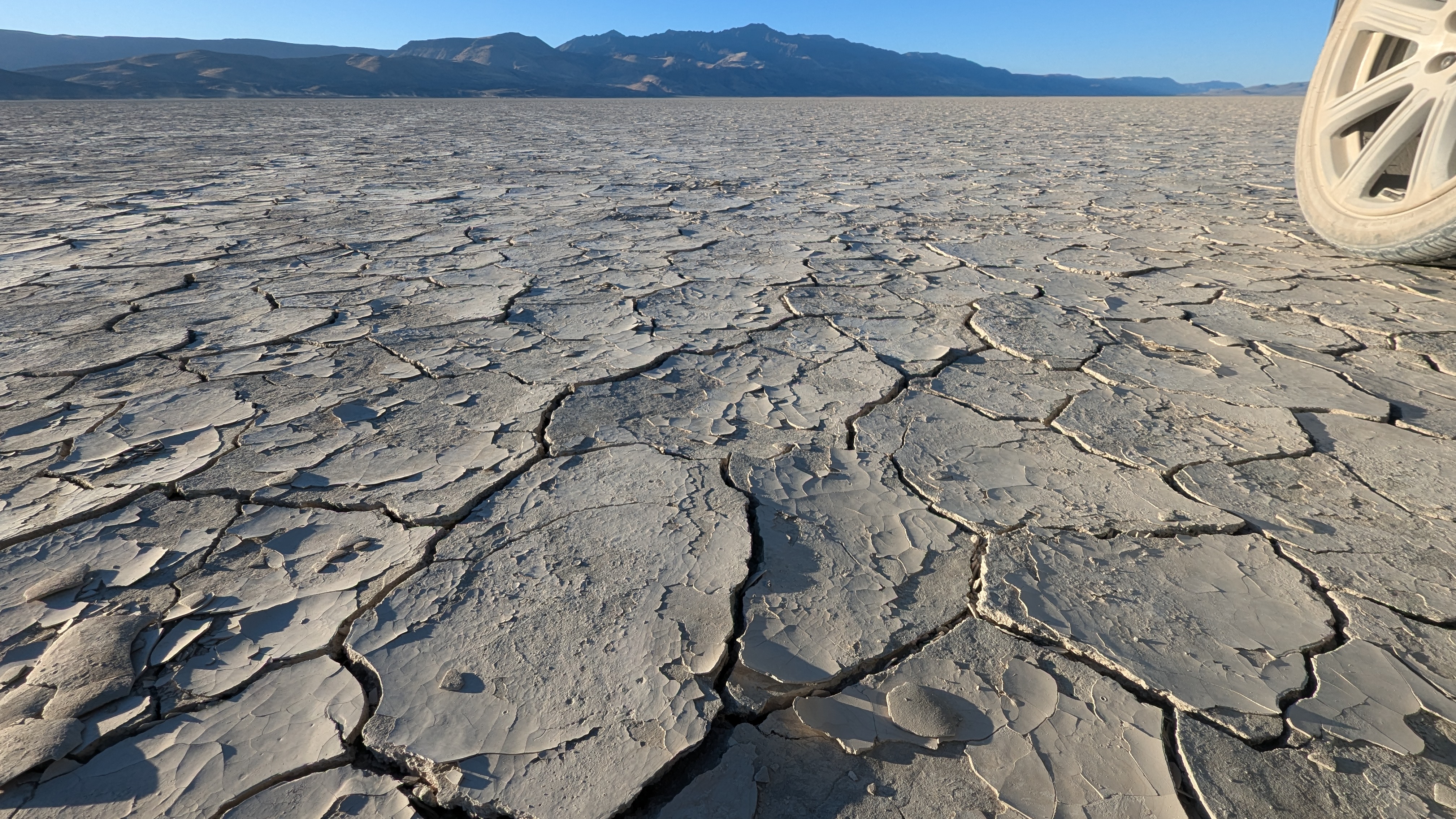 View from the playa floor. Gray cracked surface with a rear tire for scale and the mile high Steens Mountains in the background.